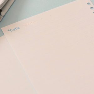 یدک دفتر کلاسوری 20حلقه خطدار برگ سری کیوت پالت کد74415